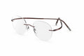 Brown Eyeglasses R61402