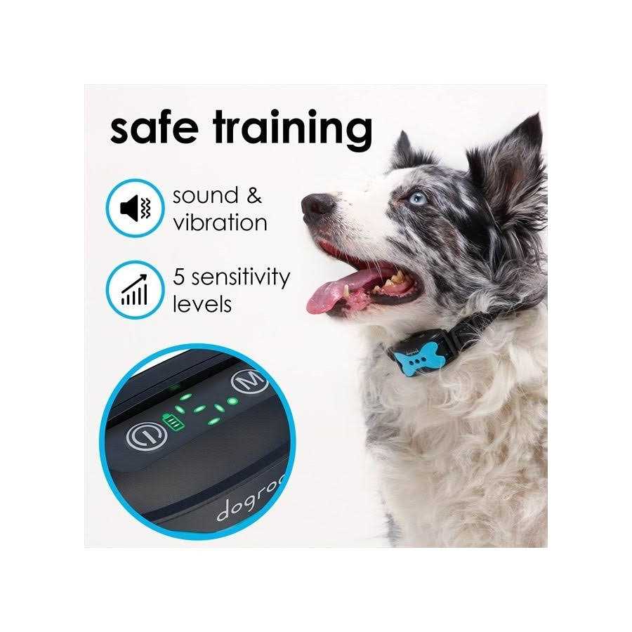 Rechargeable Dog Bark Collar Q4999