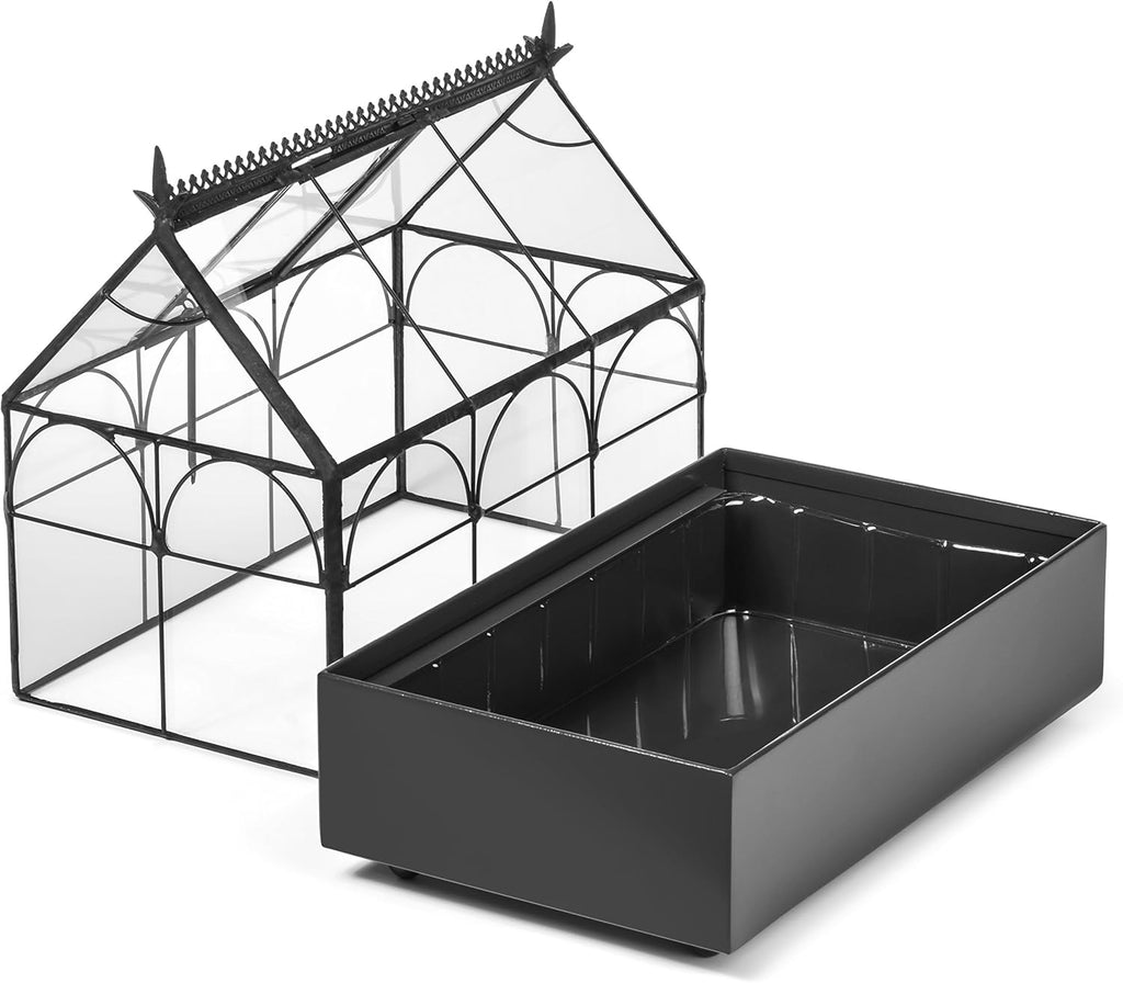 Glass Terrarium Planter O438828