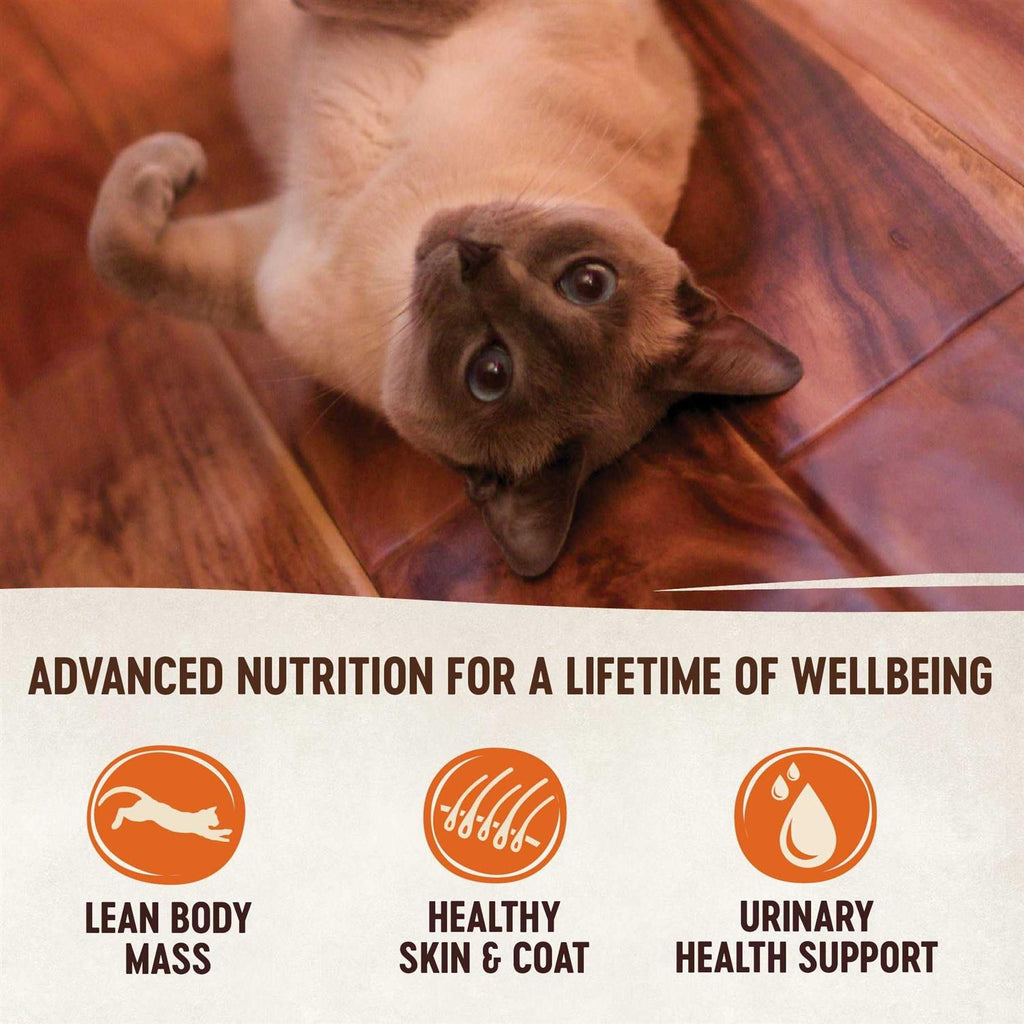 Natural Grain-Free Chicken Turkey & Chicken Liver Pate Canned Cat Food X7790