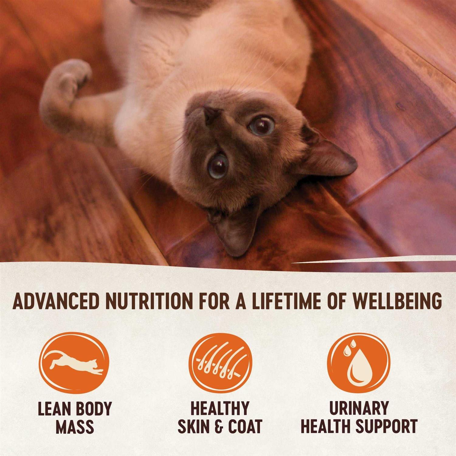 Natural Grain-Free Chicken Turkey & Chicken Liver Pate Canned Cat Food X7790