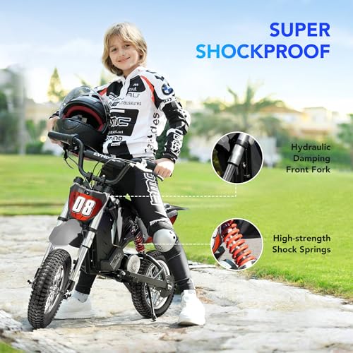 Kids Electric Dirt Bike 36V 350W 3-Speed M895