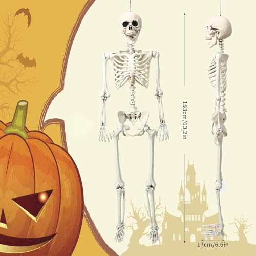 5.4 ft Posable Halloween Skeleton with Movable Joints Q98286