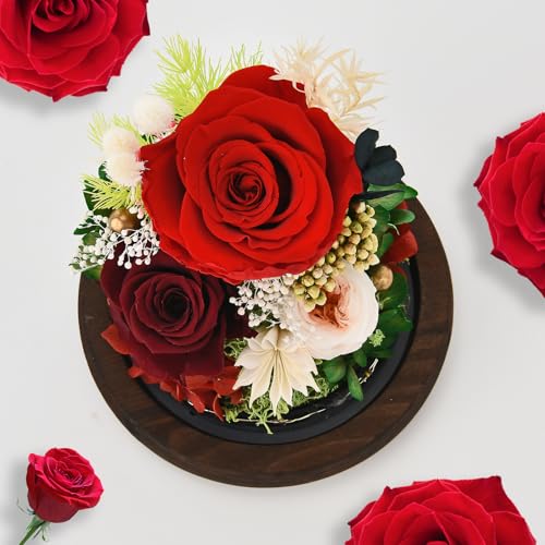 Rose in Glass Dome with LED Light K52292