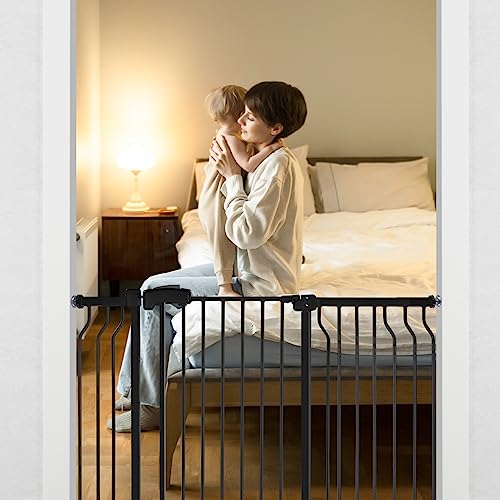 Black Metal Baby Gate with Walk-Thru Auto Close B222826