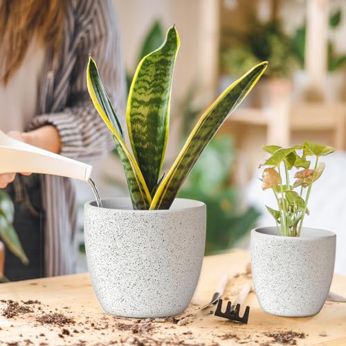 Ceramic Plant Pots Set of 3, Speckled White F104