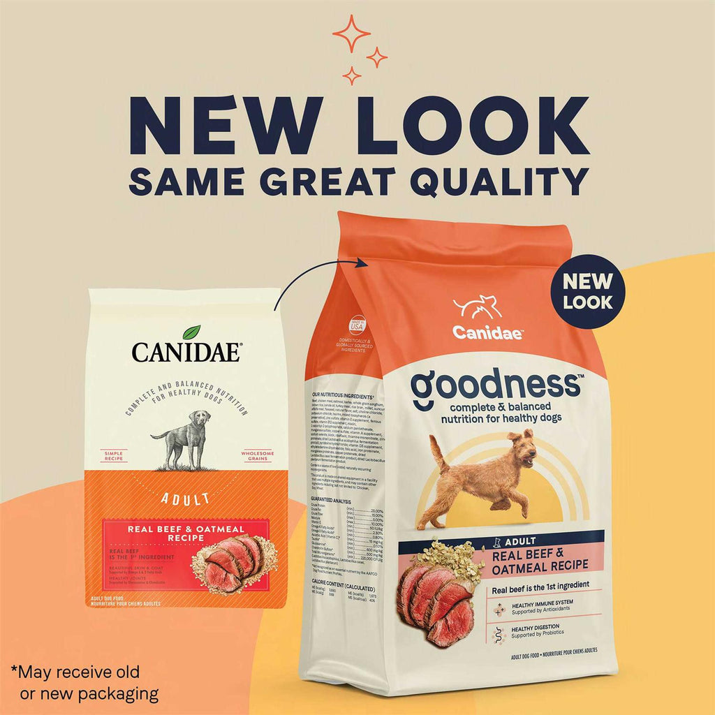 Adult Dry Dog Food Beef and Oatmeal K357