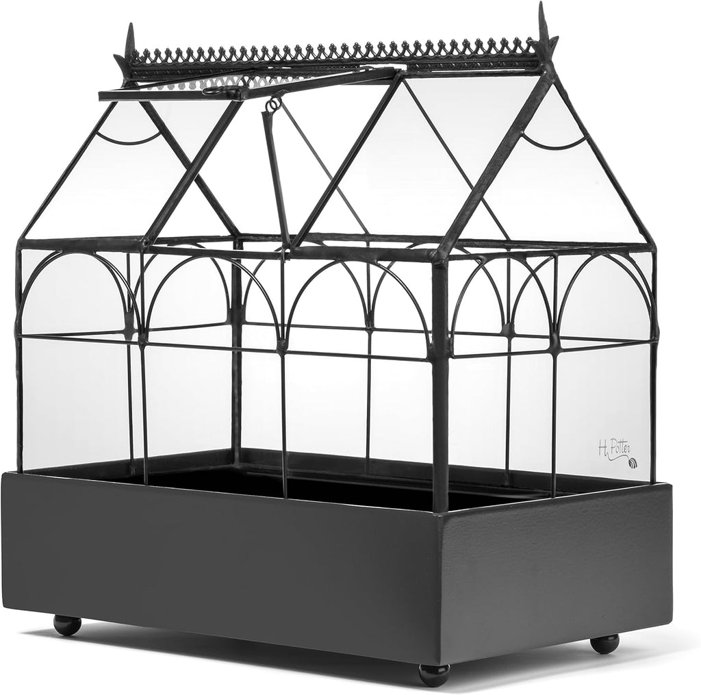 Glass Terrarium Planter O438828