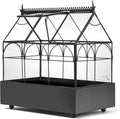 Glass Terrarium Planter O438828
