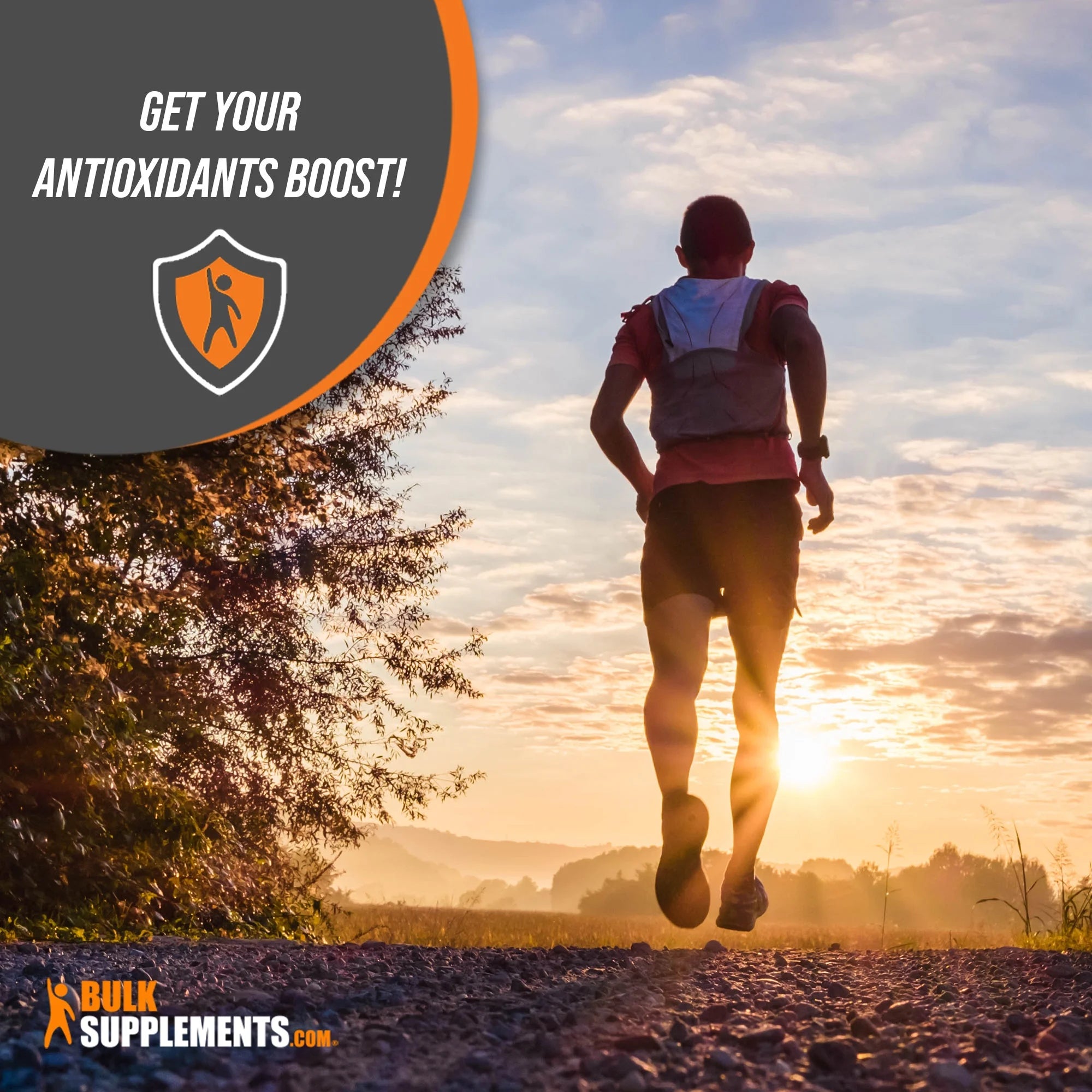 Lycopene Powder Antioxidants Supplement (500 Grams) E316