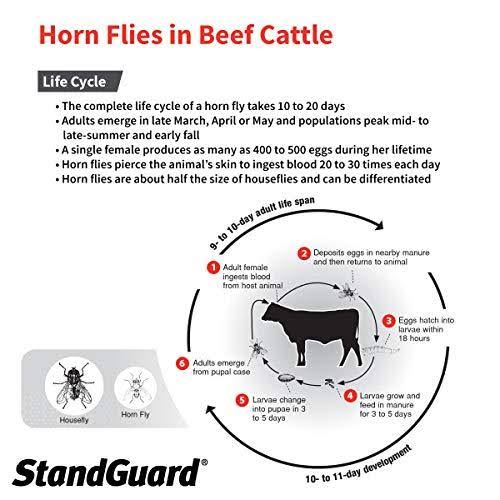 152 fl oz Pour-On Insecticide for Cattle M62946