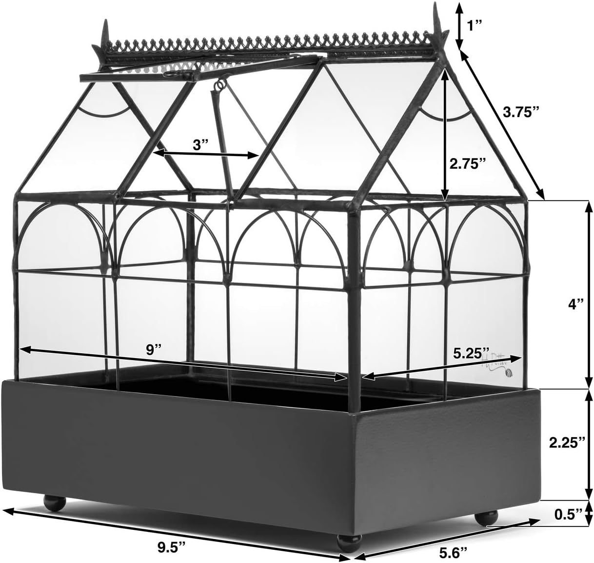 Glass Terrarium Planter O438828