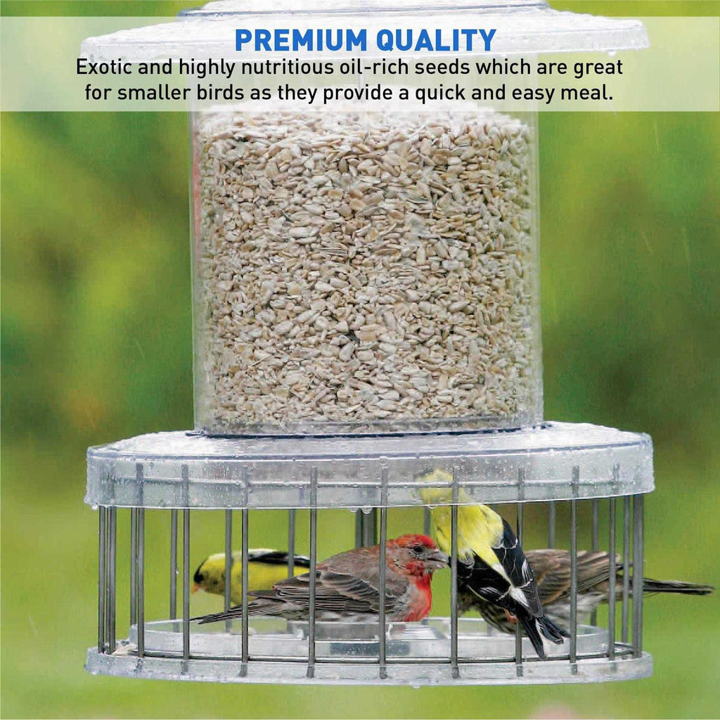 Sunflower Kernels Wild Bird Food 50 lb C591