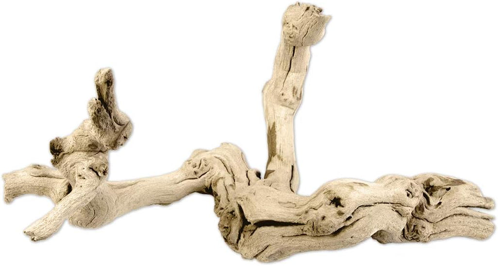 Natural Grapewood Vine Branch, 6-Inch Z345