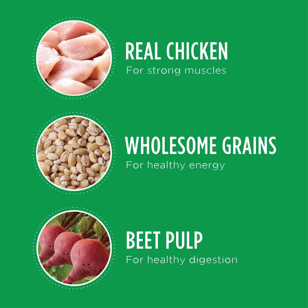 Adult Minichunks Chicken Dry Dog Food R415