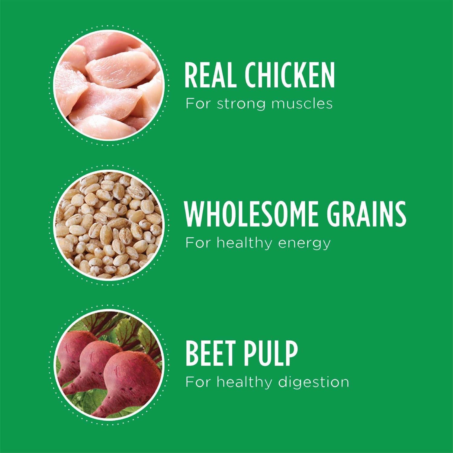 Adult Minichunks Chicken Dry Dog Food R415