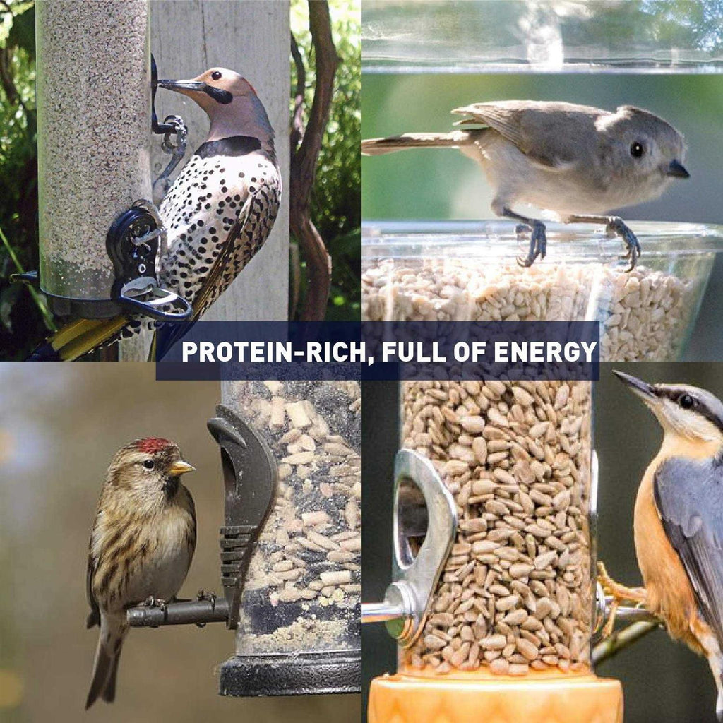 Sunflower Kernels Wild Bird Food 50 lb C591