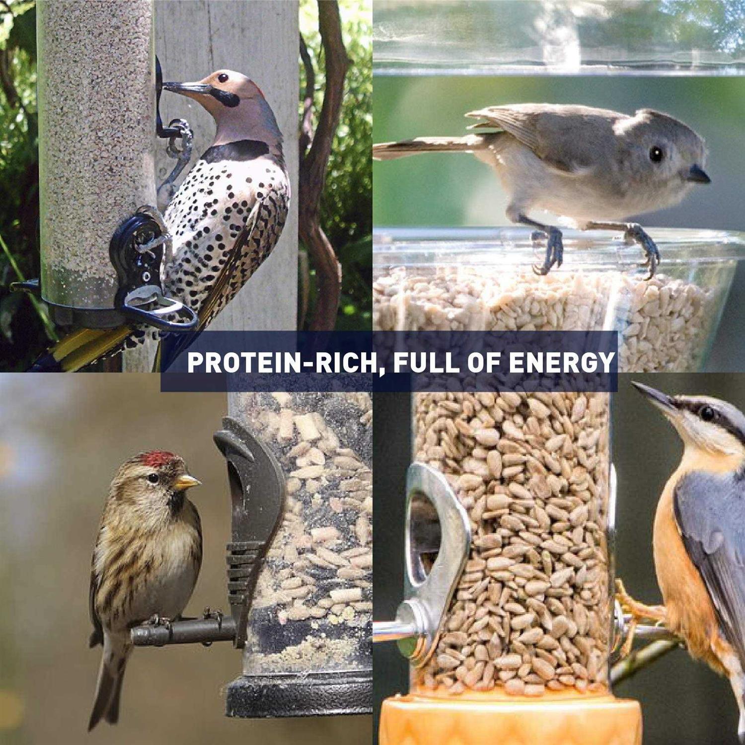 Sunflower Kernels Wild Bird Food 50 lb C591
