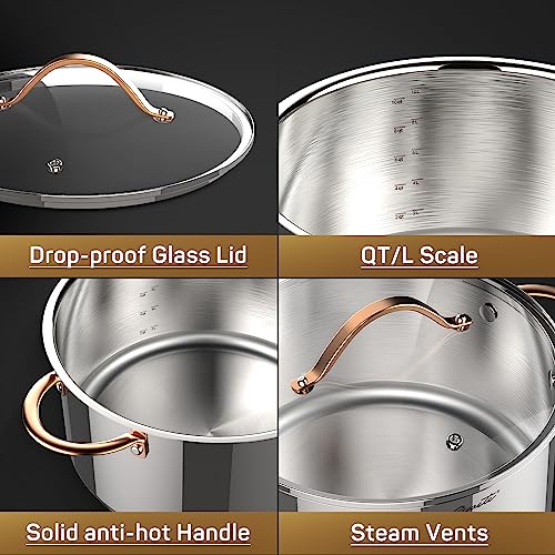 3 Ply Stainless Steel 8 Quart Stock Pot with Lid B8143