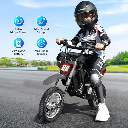 Kids Electric Dirt Bike 36V 350W 3-Speed M895