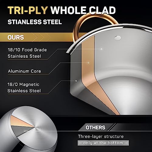 3 Ply Stainless Steel 8 Quart Stock Pot with Lid B8143