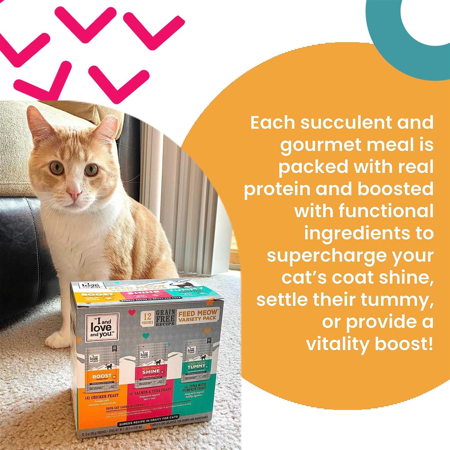 Tummy Formula Wet Cat Food with Tuna and Pumpkin O13198