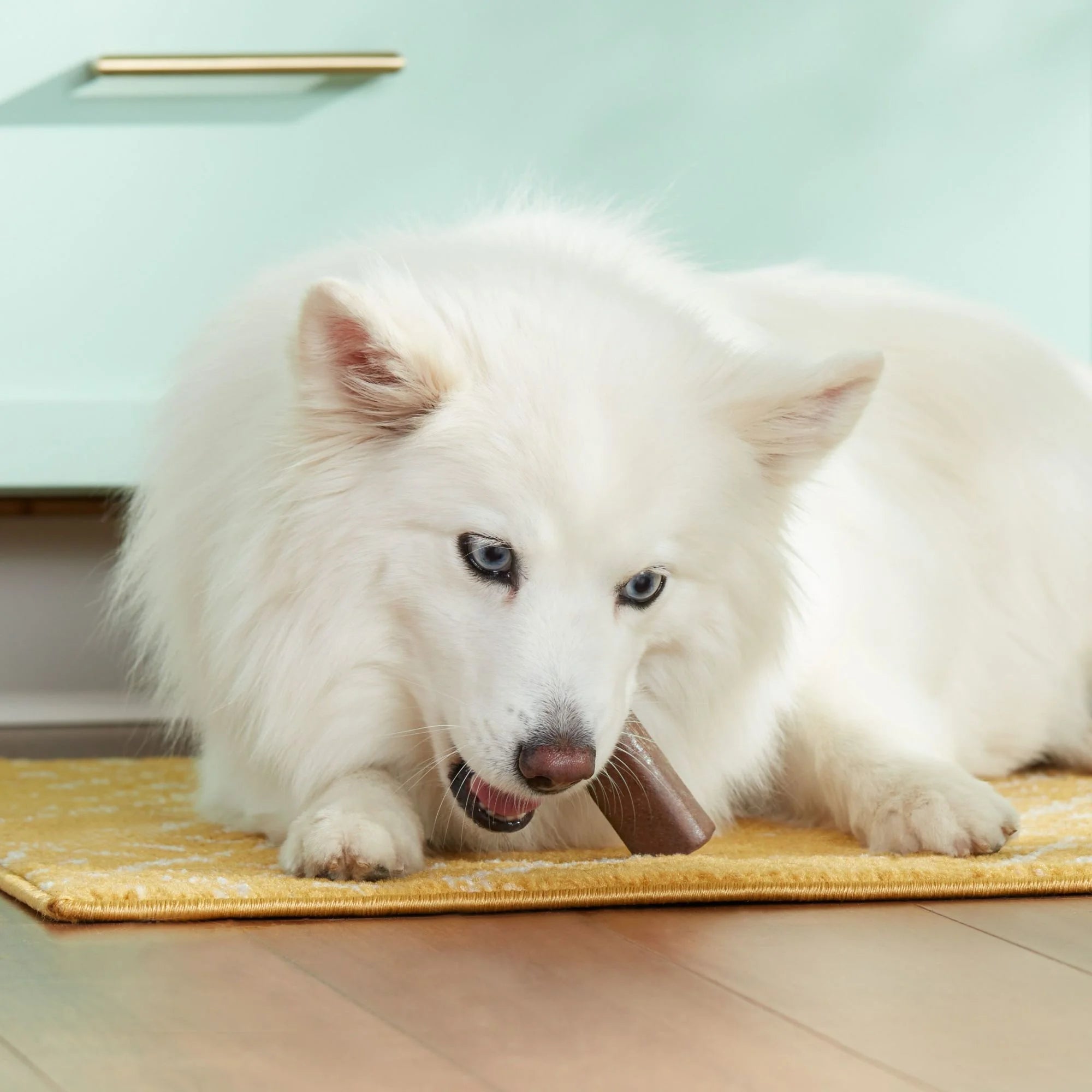 Dog Chews With Real Turkey & Rice, 3 Chews N9908