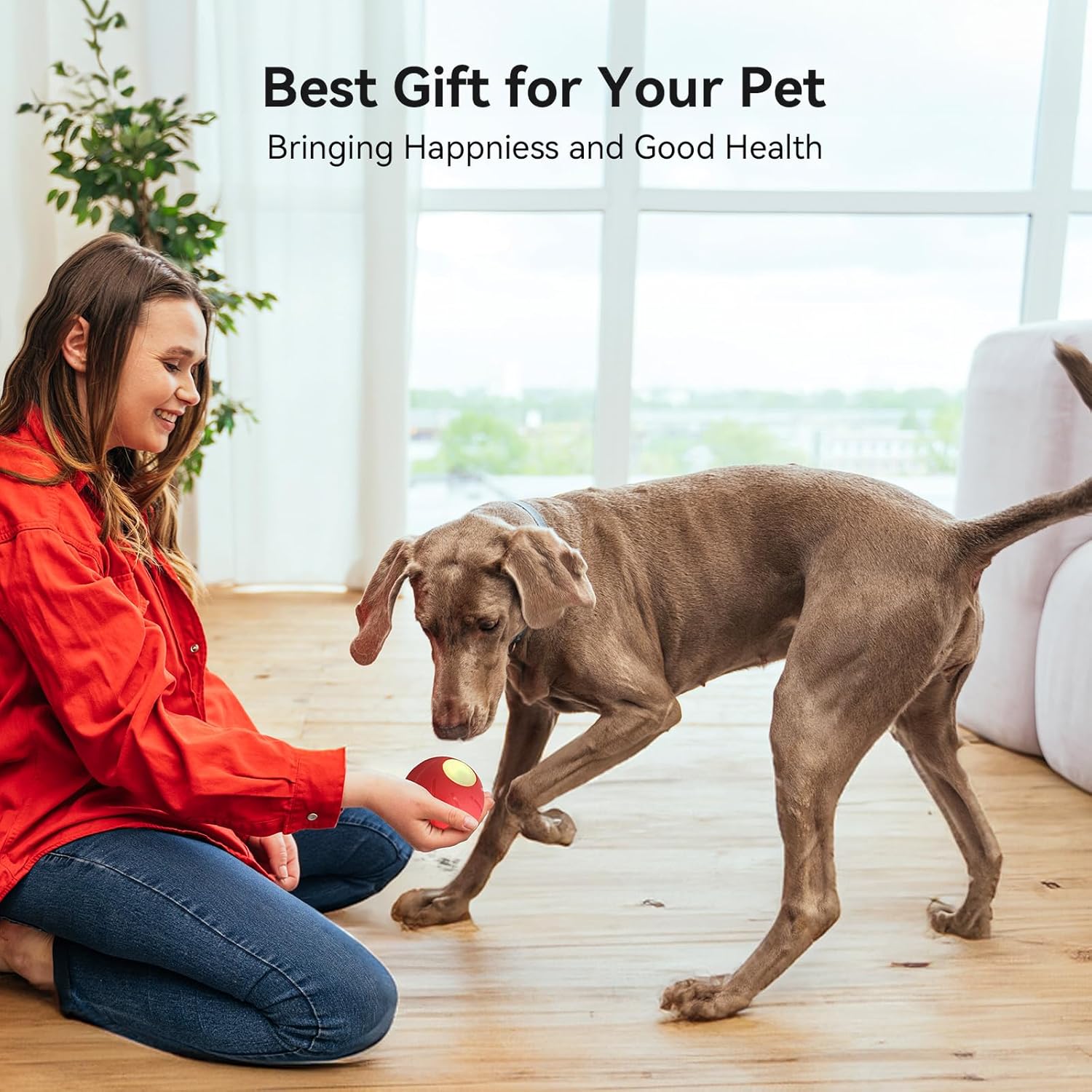 Smart Interactive Dog Toy with LED Lights N70314