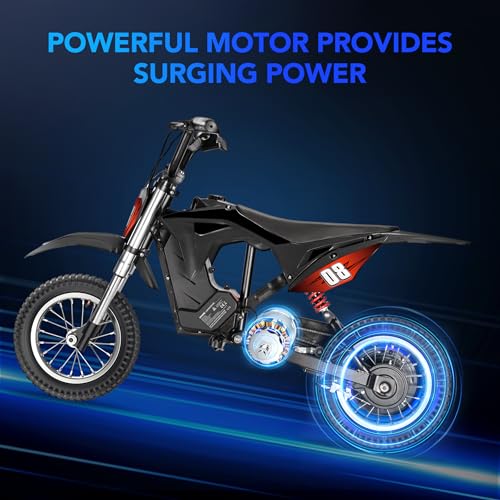 Kids Electric Dirt Bike 36V 350W 3-Speed M895