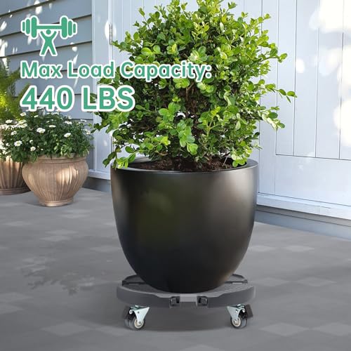 Heavy Duty Rolling Plant Stand with Wheels 2 Pack Y240089
