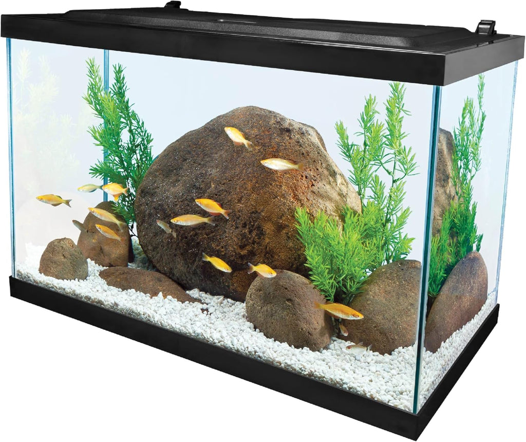 20 Gallon Complete Tropical Fish Tank Kit with LED Lighting U7461
