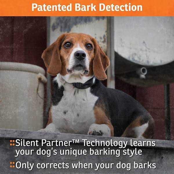 NoBark Collar M531364