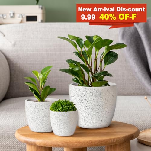 Ceramic Plant Pots Set of 3, Speckled White F104