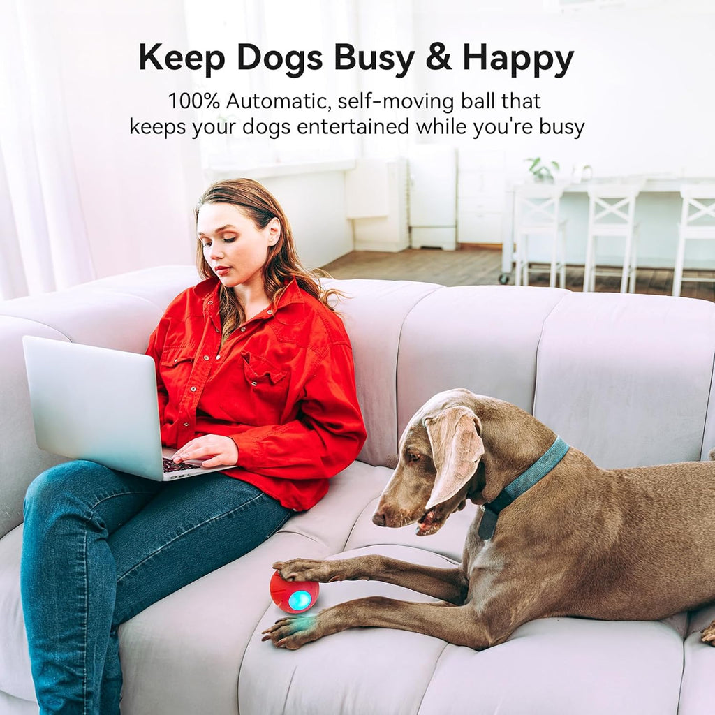 Smart Interactive Dog Toy with LED Lights N70314
