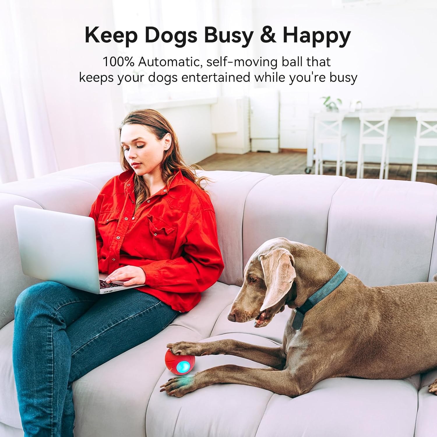 Smart Interactive Dog Toy with LED Lights N70314