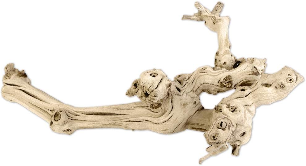 Natural Grapewood Vine Branch, 6-Inch Z345