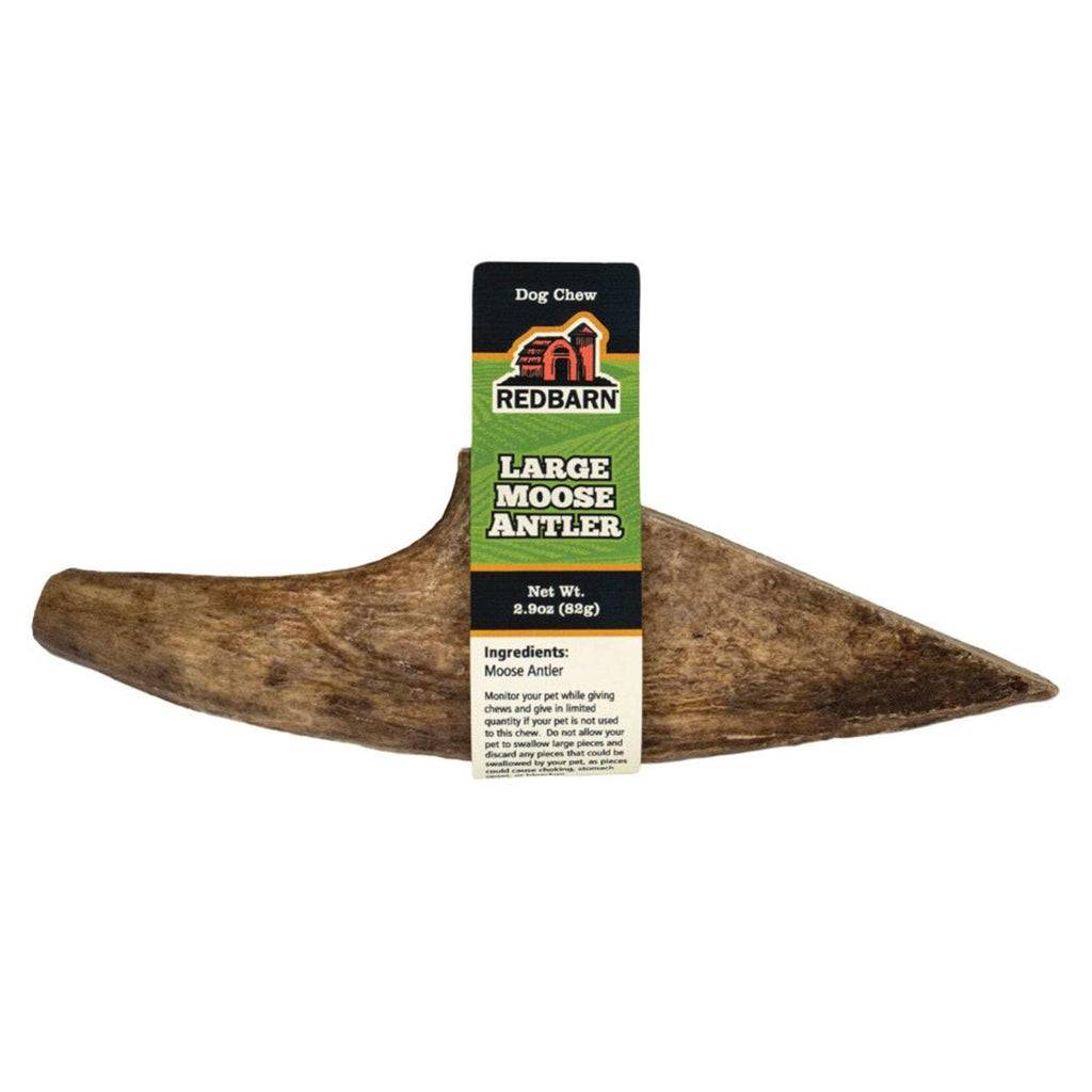 Moose Antler Dog Chew I892