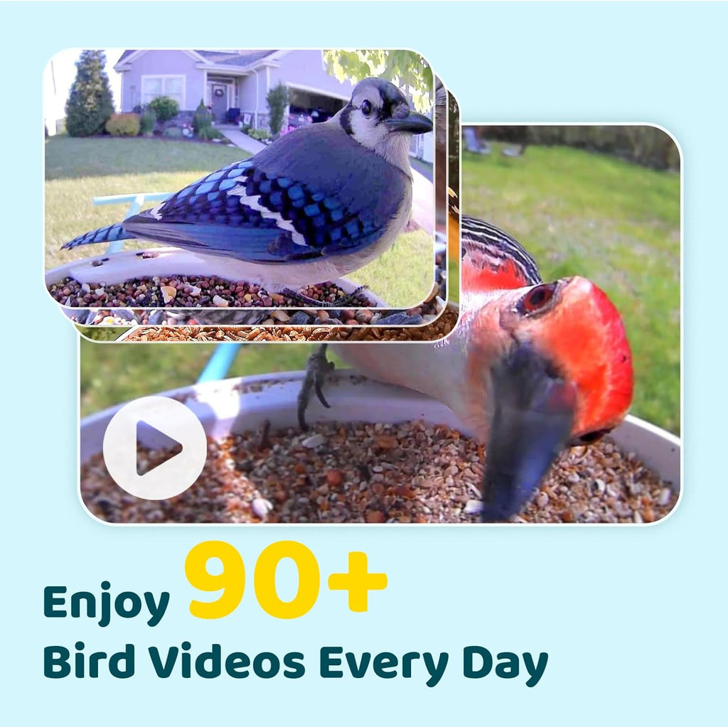 Smart Bird Feeder with Camera and Solar Panel F17636