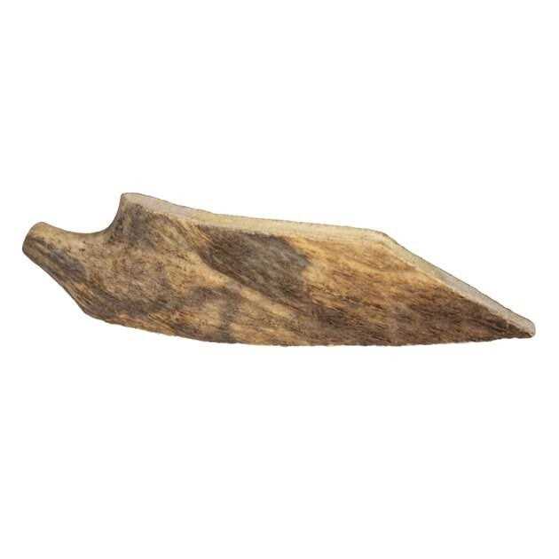 Moose Antler Dog Chew I892