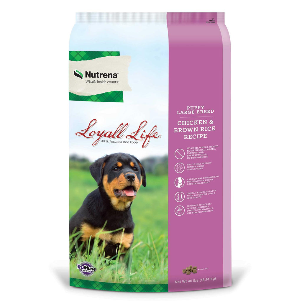 Large Breed Puppy Chicken & Brown Rice T258402