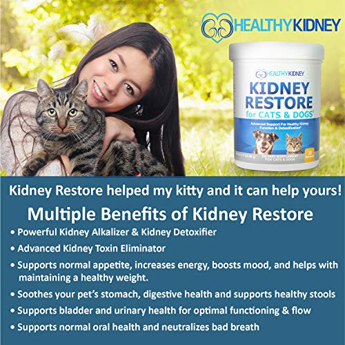 Unflavored Pet Kidney Health Supplement V50871