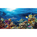 Reversible Aquarium Tank Background U800696