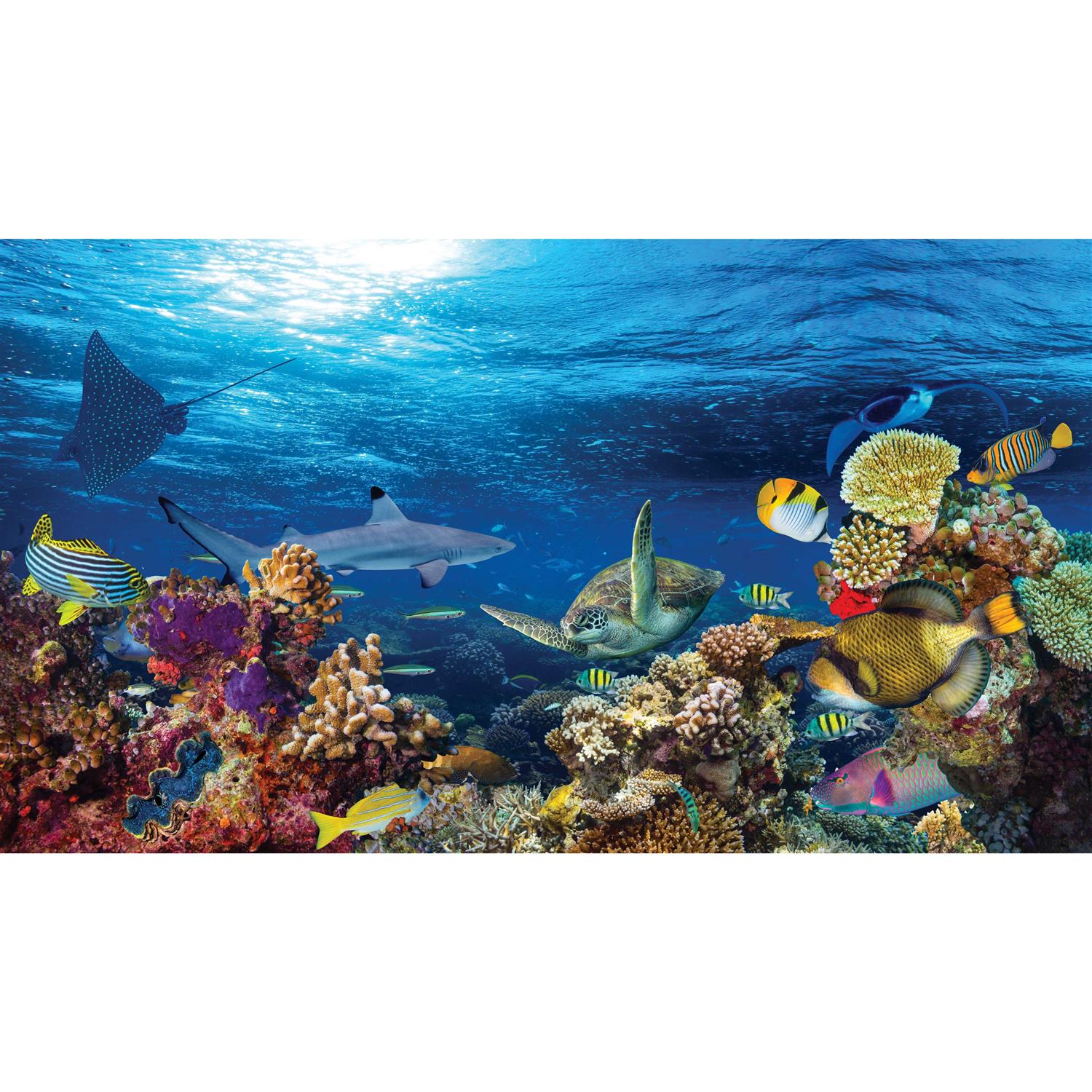 Reversible Aquarium Tank Background U800696
