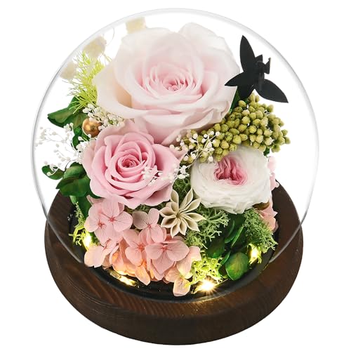 Rose in Glass Dome with LED Light K52292