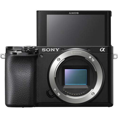 Mirrorless Camera L868