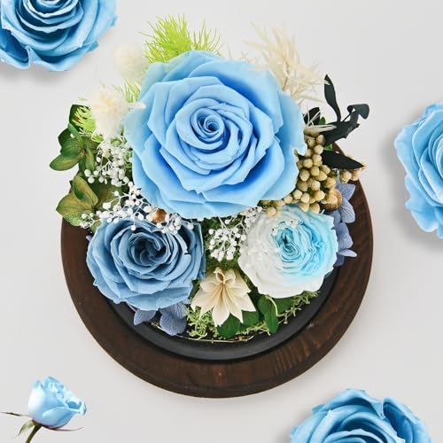 Rose in Glass Dome with LED Light K52292