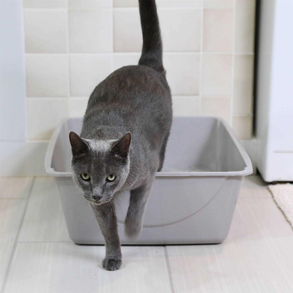 Litter Pan Z6589
