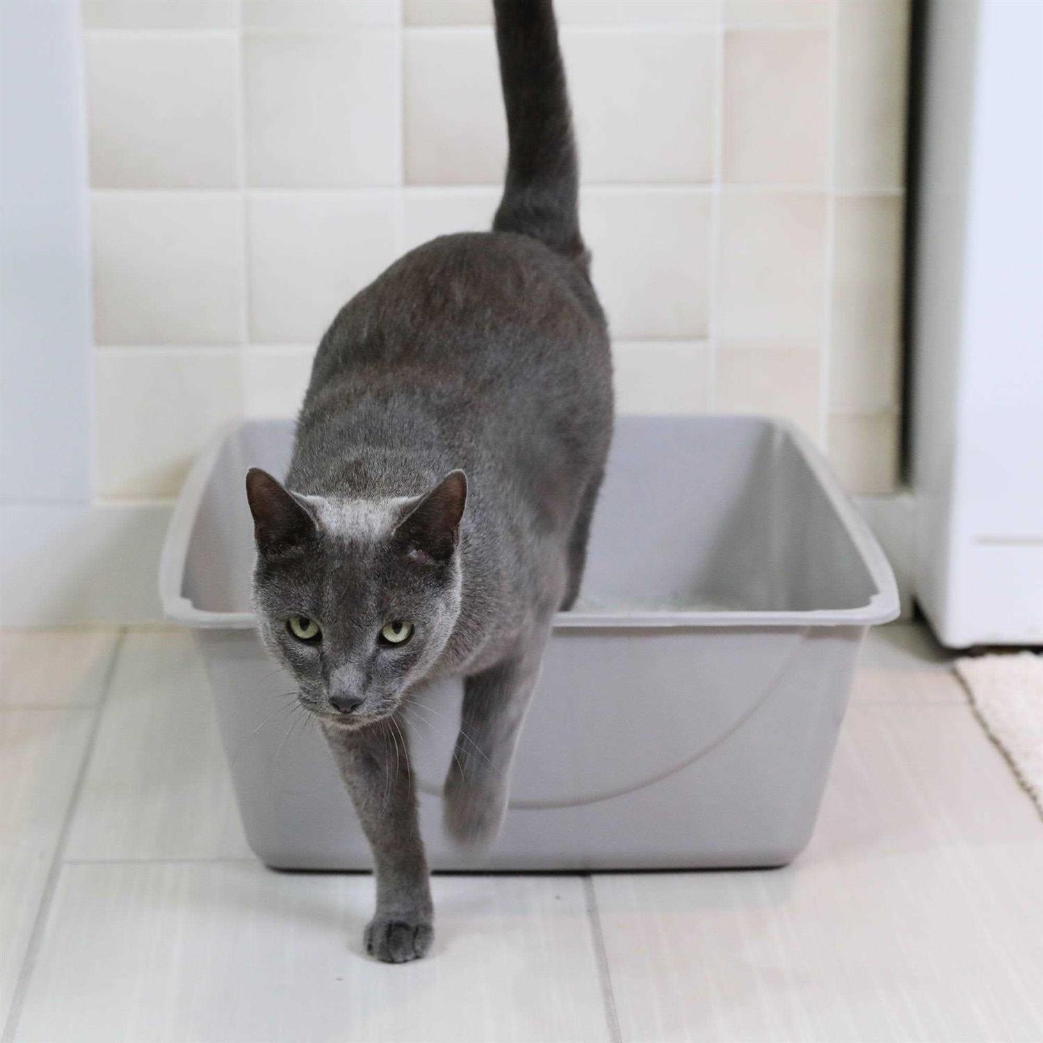 Litter Pan Z6589