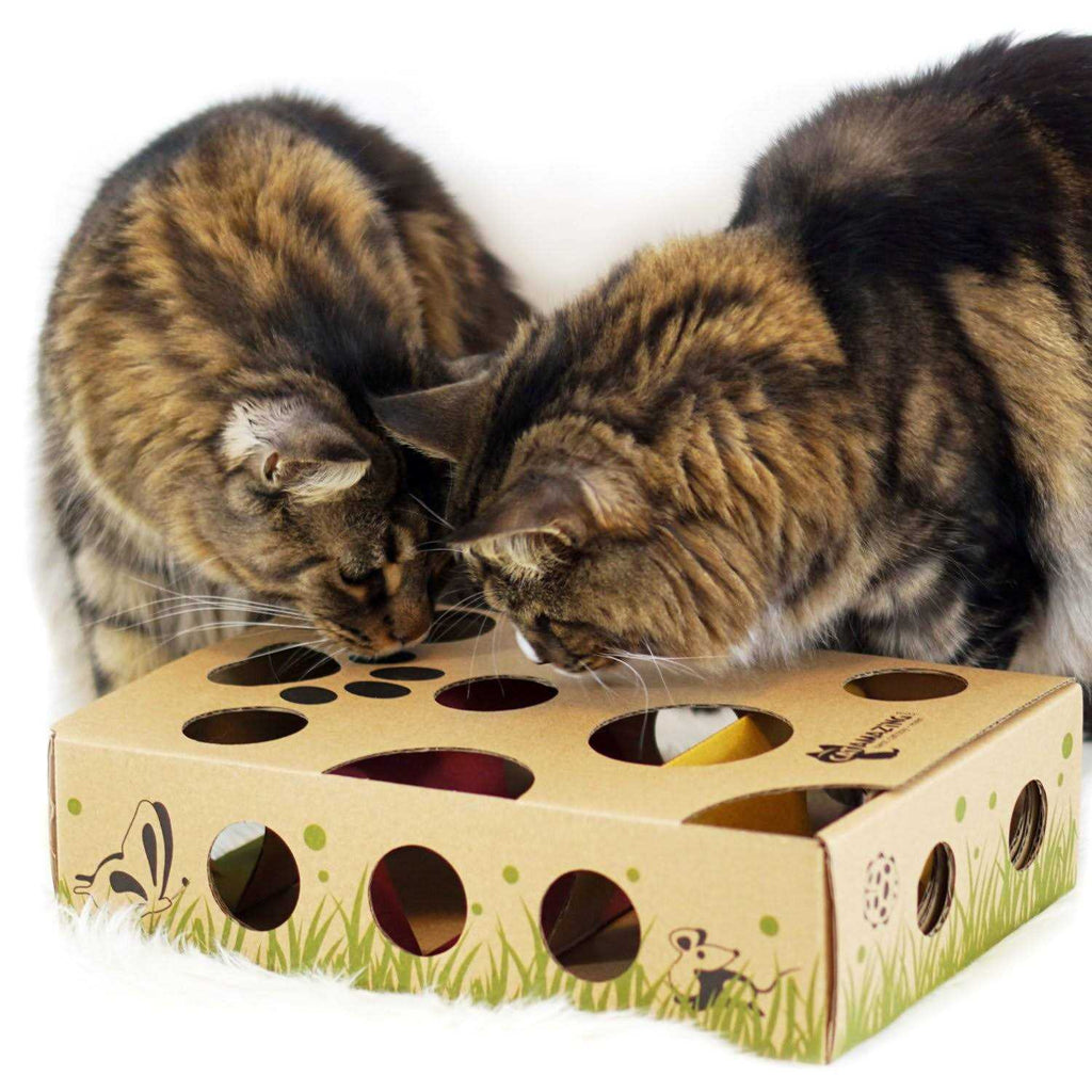 Interactive Treat Maze Puzzle Feeder for Cats I7266