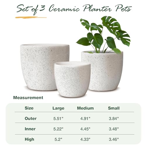 Ceramic Plant Pots Set of 3, Speckled White F104